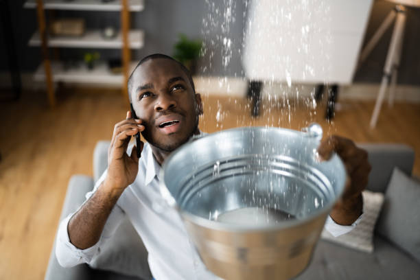 Best Emergency water extraction  in Brookridge, FL