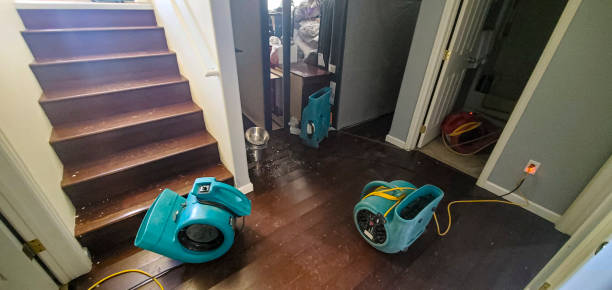 Best Commercial water damage restoration  in Brookridge, FL