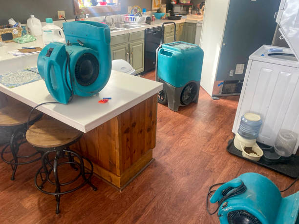 Best Water damage cleanup near me  in Brookridge, FL