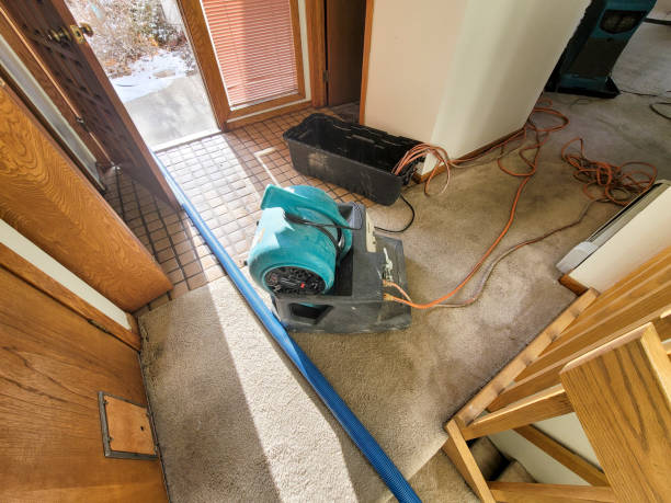 Best Water damage restoration near me  in Brookridge, FL