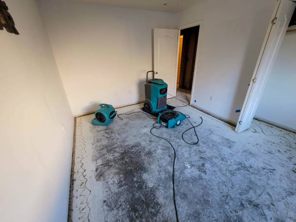 Best Water damage restoration cost  in Brookridge, FL