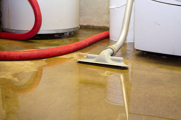 Best Flood damage cleanup  in Brookridge, FL