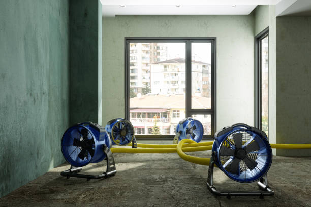 Best Sewage cleanup and water damage restoration  in Brookridge, FL